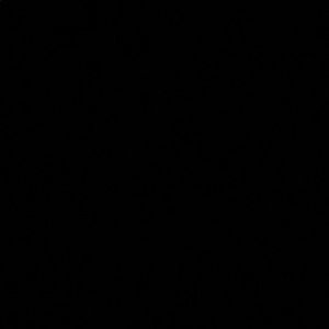 Meet your Posher, Daniela